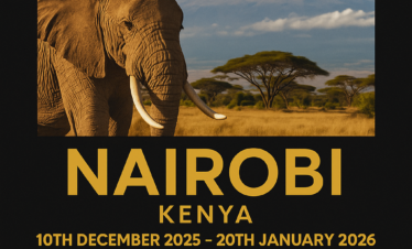 Nairobi (Kenya)
