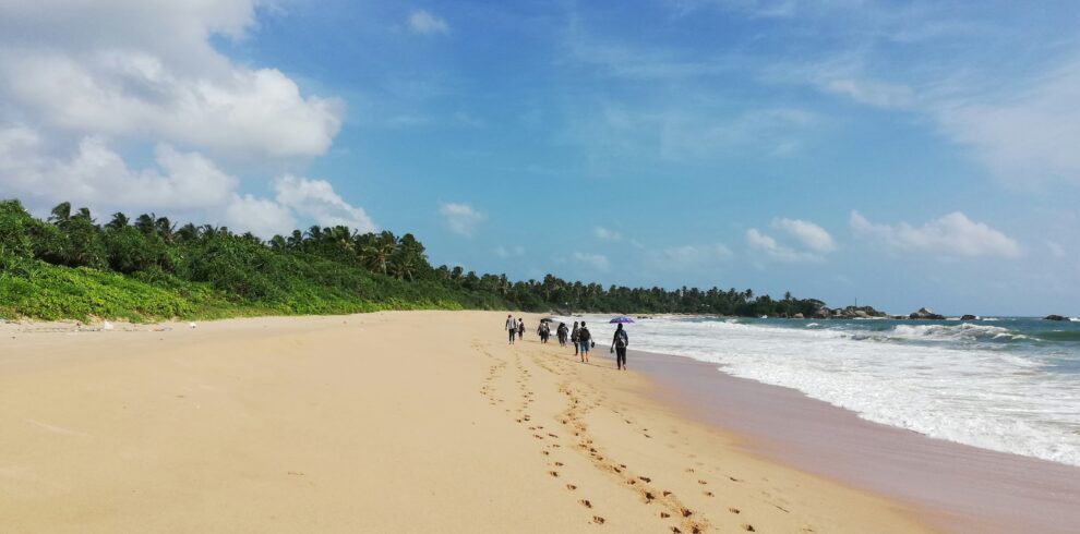 ivani-de-silva-xyDbb2lEF4k-unsplash